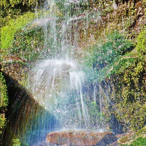 Meet your Posher, Melissa - Picture 4 of 7